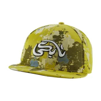 Nike Sb X Carpet Company Hat