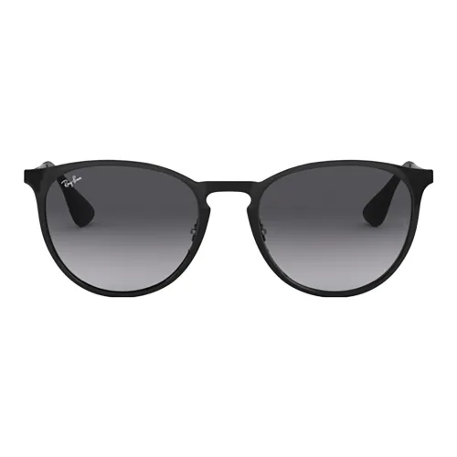 RayBan Erika Pilot Frame Sunglasses