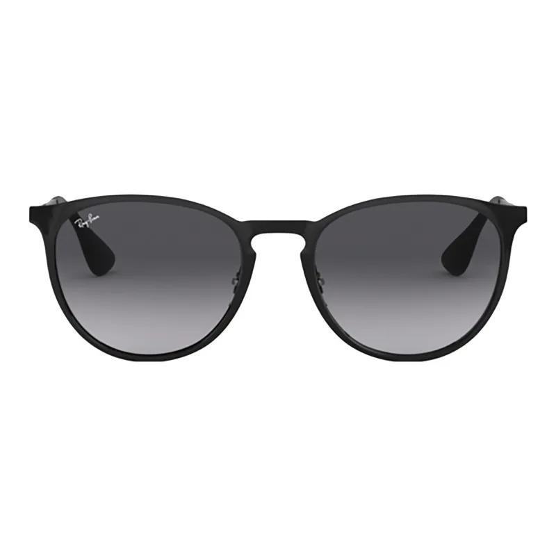 RayBan Erika Pilot Frame Sunglasses-0