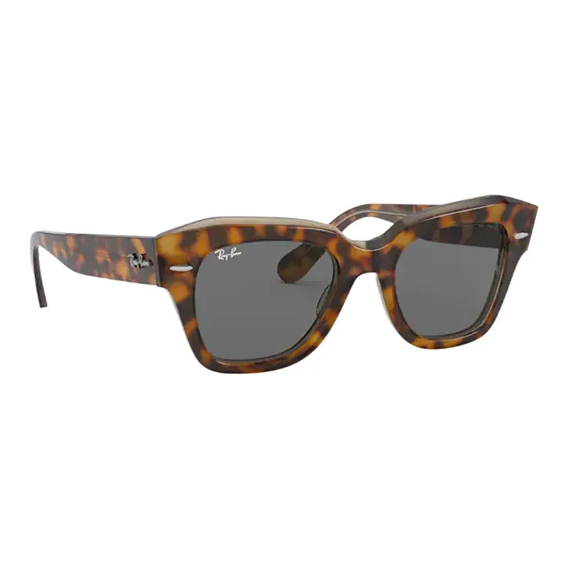 RayBan State Street Square frame Sunglasses-2
