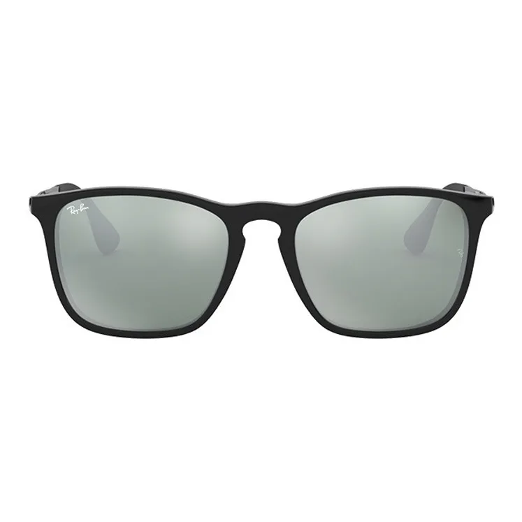 RayBan Sunglasses Unisex Gray-1