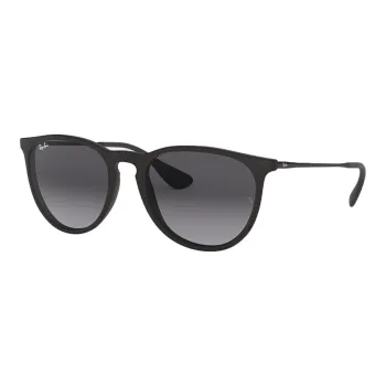 RayBan Erika Classic Oval Frame Sunglasses