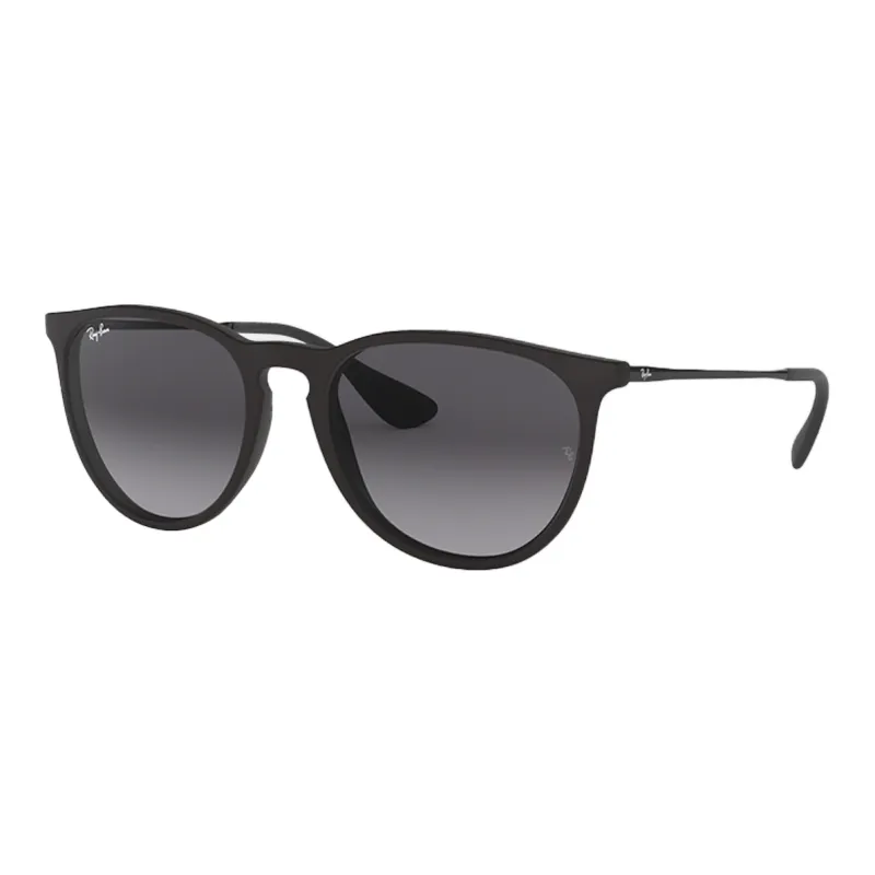 Ray Ban Erika Classic Sunglasses-0