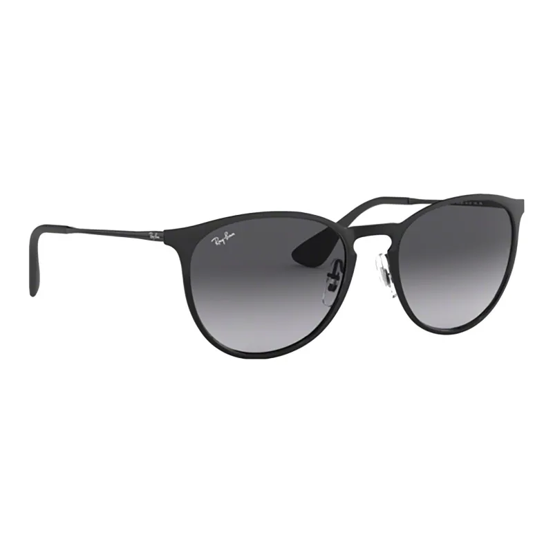 RayBan Erika Pilot Frame Sunglasses-1