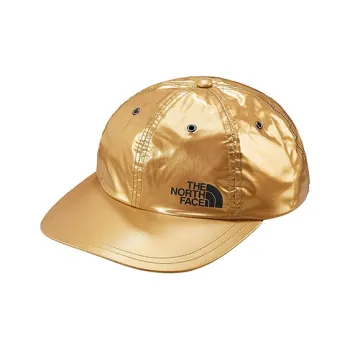 Supreme The North Face Metallic 6 Panel