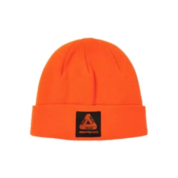 PALACE Amg 2.0 Beanie