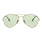 Gold Frame Light Green Lens 001/T1 Size 58