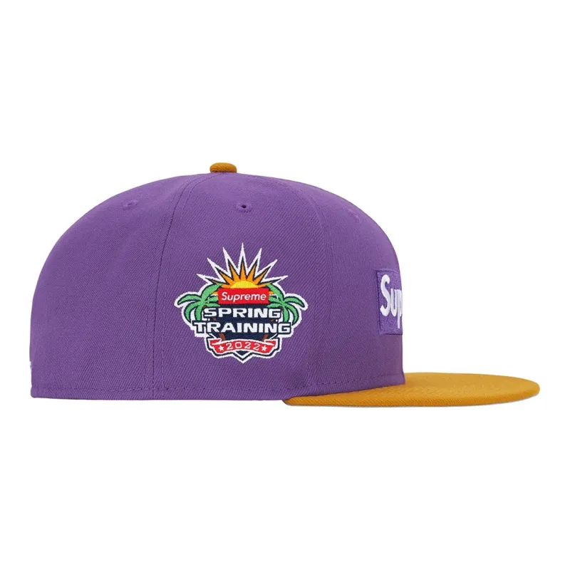 Supreme 2 Tone Box Logo New Era-4