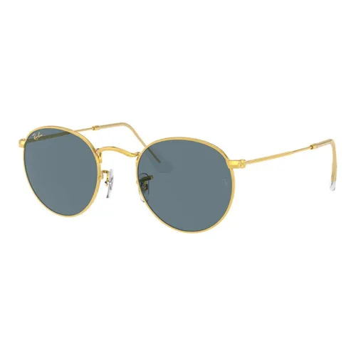 RayBan Erik Round frame Sunglasses