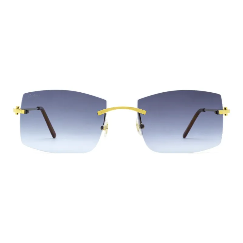 Cartier Eyewear Gradient-lens Rectangle Sunglasses-1