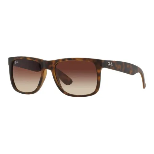 RayBan Sunglasses Unisex Brown