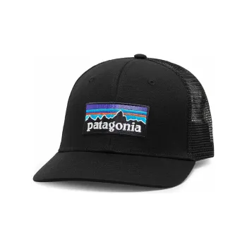 Patagonia Logo patch Mesh panel Cap