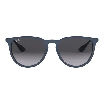 RayBan Erika Classic Sunglasses