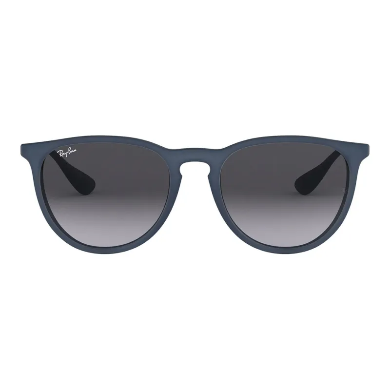 RayBan Erika Classic Sunglasses-0