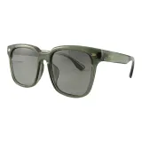 Transparent Light Green | Polarized Gray-C17