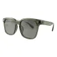 Transparent Light Green | Polarized Gray-C17