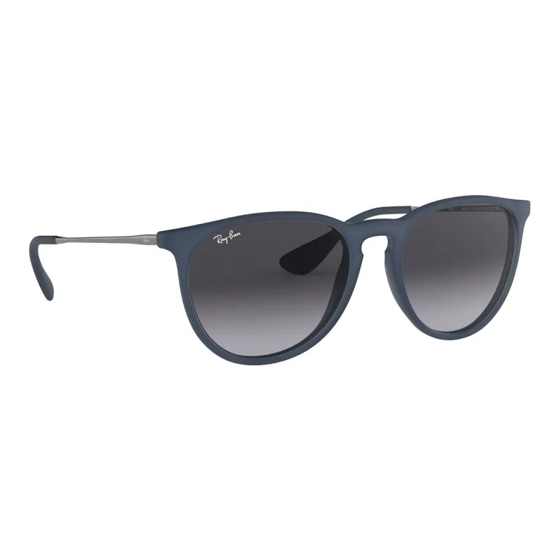RayBan Erika Classic Sunglasses-2