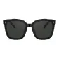 MS3022C10-Gray Polarized