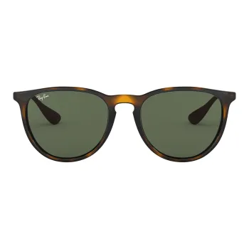 RayBan Erika Classic Sunglasses