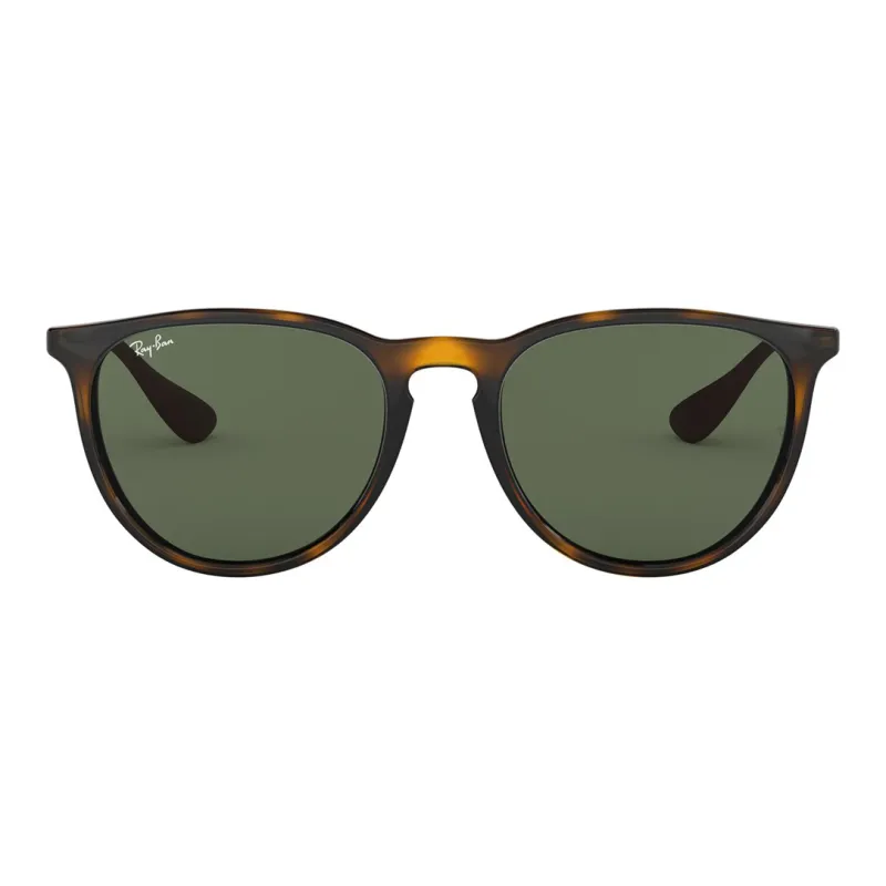 RayBan Erika Classic Sunglasses-0