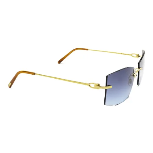 Cartier Eyewear Gradient-lens Rectangle Sunglasses