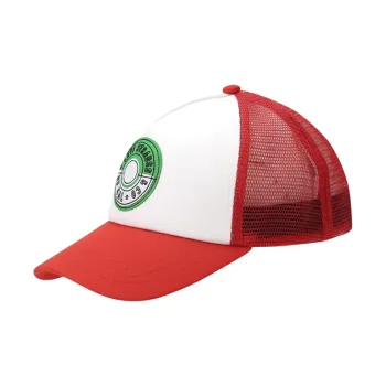 Levis X Pokémon Trucker Hat
