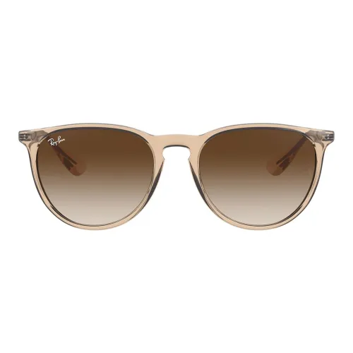 RayBan Erika Sunglasses