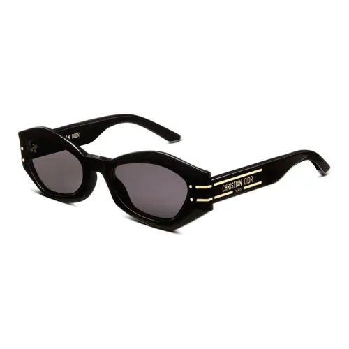 DIOR signature B1U Oval Sunglasses