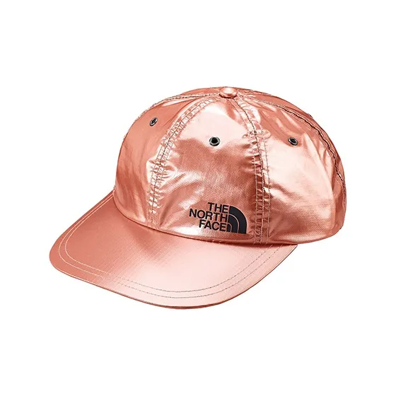 Supreme The North Face Metallic 6 Panel-2