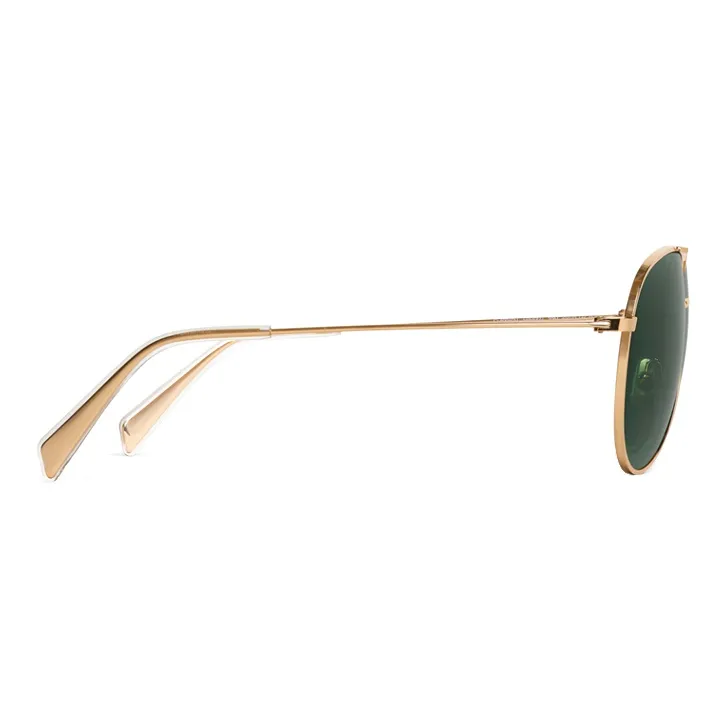 CELINE Sunglasses Unisex Green-2