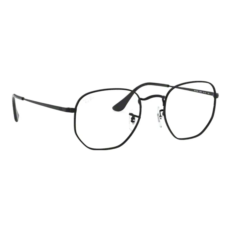 RayBan Hexagon Frame Glasses-1
