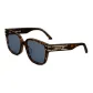 Tortoiseshell