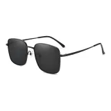 Black Frame with Black Gray Lens