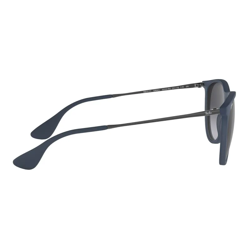 RayBan Erika Classic Sunglasses-1