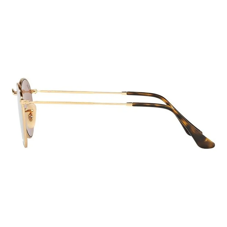 RayBan Round frame Sunglasses-2