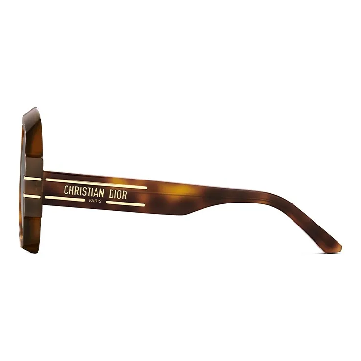 DIOR Sunglasses Unisex Light Umber-2