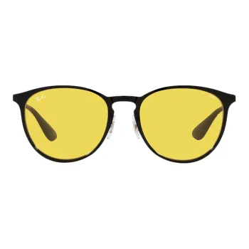 RayBan Erika Pilot Frame Sunglasses