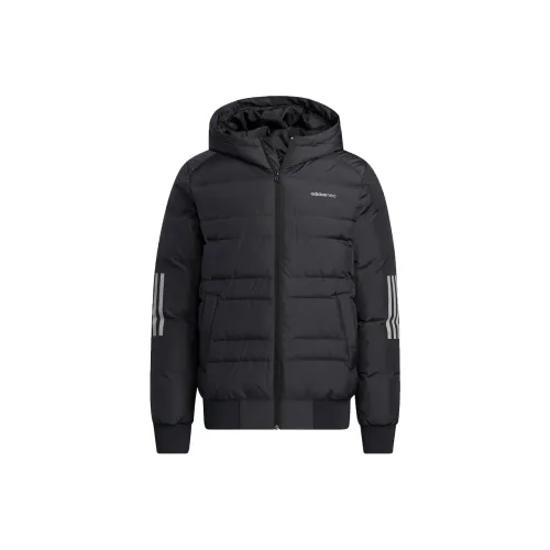 adidas neo Male Down jacket