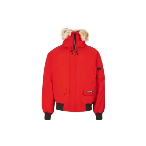 Canada Goose Chilliwack Down Jackets Men Red