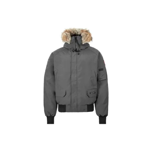 Canada Goose Chilliwack Bomber Heritage Down Jacket