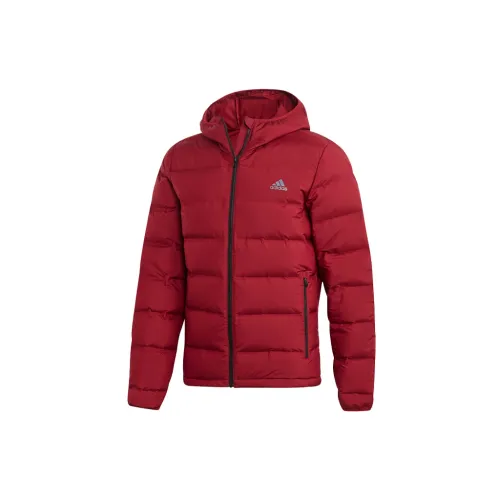 Adidas Down Jackets Men Campus Burgundy