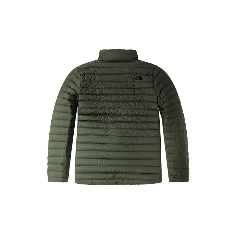 THE NORTH FACE Down Jackets Men Green-1