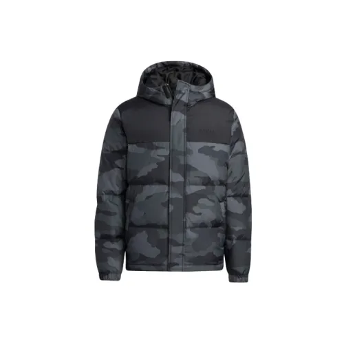 adidas neo Male Down jacket