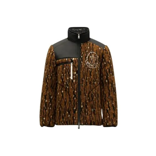 MONCLER GENIUS Down Jackets Men Tiger Stripe