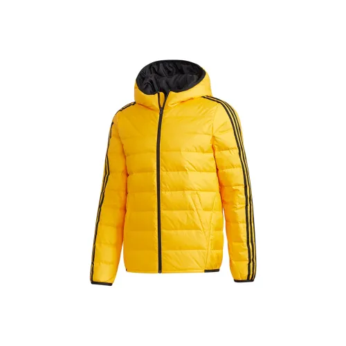 adidas neo Men Down Jacket