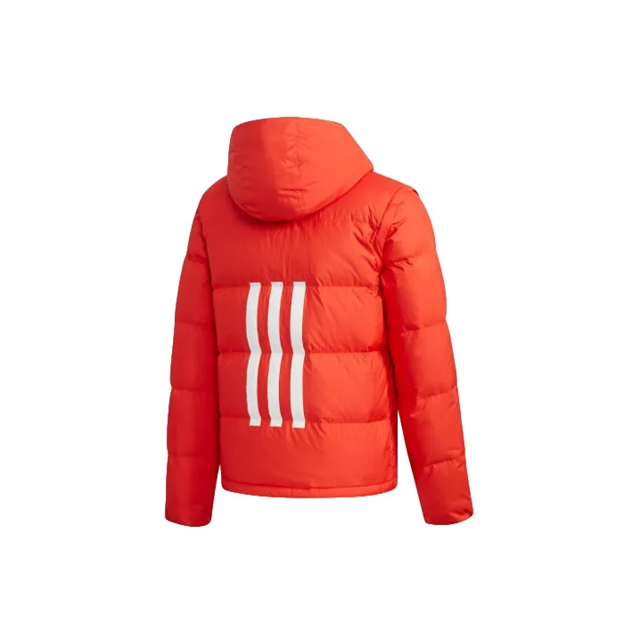 Adidas Neo Down Jacket Men's Orange Red-1