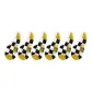 6 Pack (Multicolor)