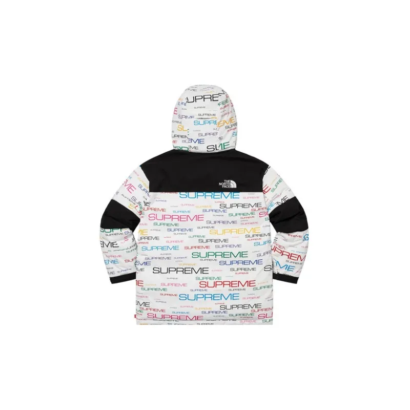 Supreme The North Face Coldworks 700 Fill Down Parka-10