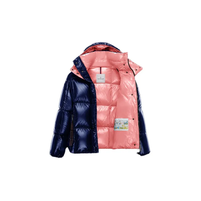 Moncler Parana Series Down Jacket Winter Women's Blue-2