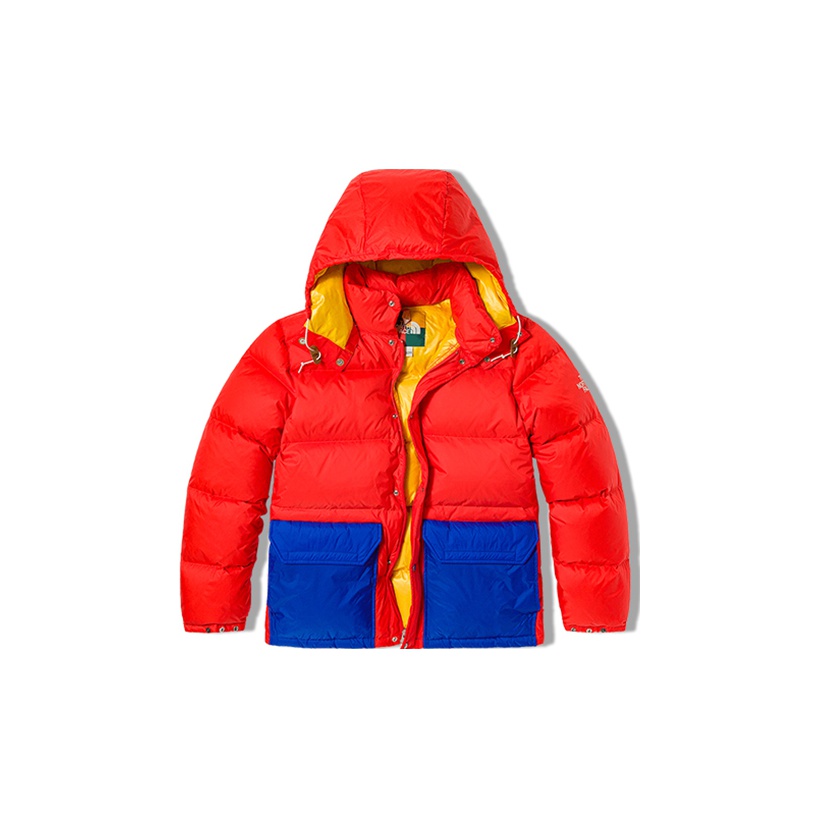 THE NORTH FACE City Outdoor Collection Down Jacket Winter